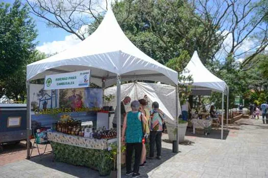 Festival do Cambuci marca programação do fim de semana em São Bernardo