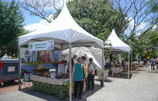 Festival do Cambuci marca programação do fim de semana em São Bernardo