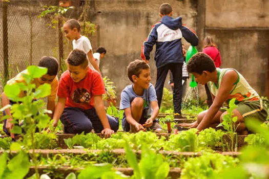 Campanha da Microcamp em prol da ONG Aldeias Infantis é prorrogada até dia 31