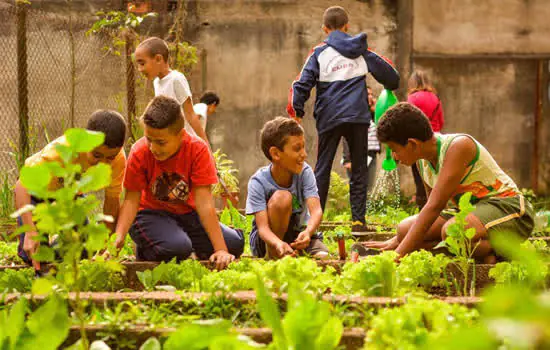 Campanha da Microcamp em prol da ONG Aldeias Infantis é prorrogada até dia 31