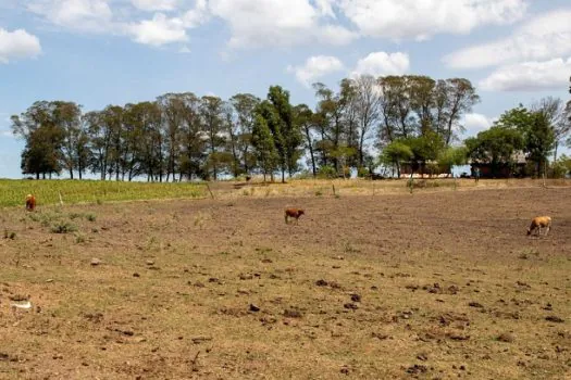 Cidades gaúchas vão receber mais R$ 701 mil para combater seca