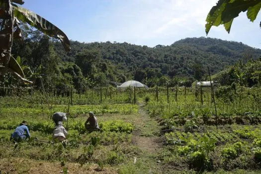 Lei institui política de empreendedorismo para jovens no campo