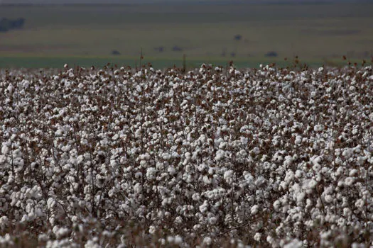 São Paulo lança programas AgroSP+Seguro e Município AgroSP