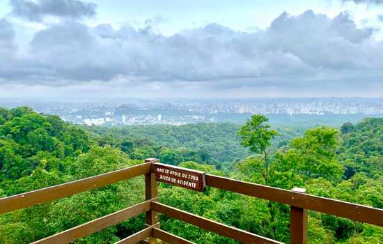 Entrada da Floresta Cantareira é unificada com Horto Florestal