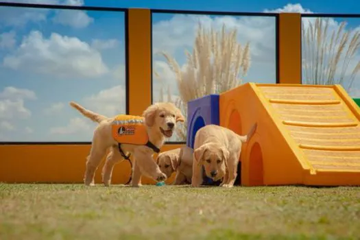 Parque Ibirapuera sedia evento em comemoração ao Dia do Cão-Guia