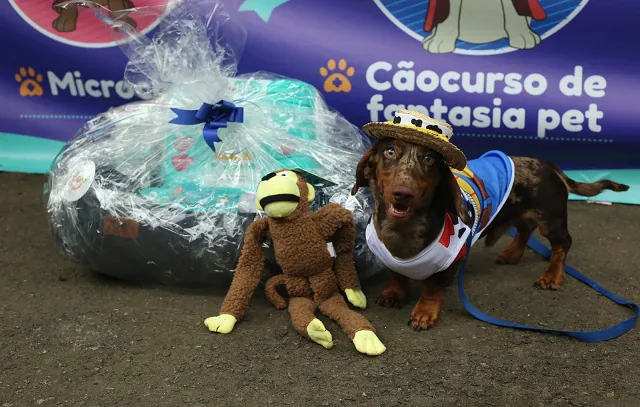 SP: Bloquinho Pet recebe mais de 600 visitantes em sábado de pós-Carnaval