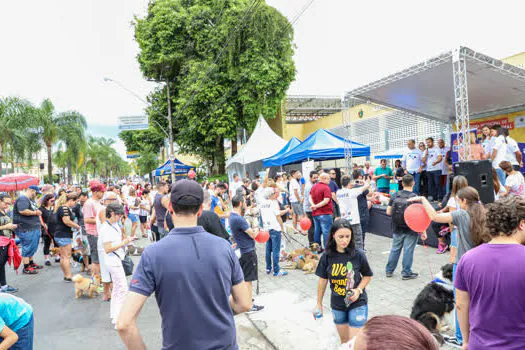 Cãominhada celebra o bem-estar animal em São Caetano