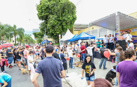 Cãominhada celebra o bem-estar animal em São Caetano