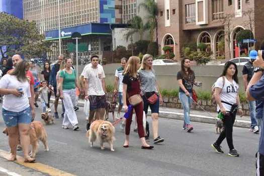 ACISA e Singular promovem Cãominhada em Santo André