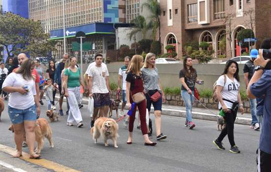 ACISA e Singular promovem Cãominhada em Santo André