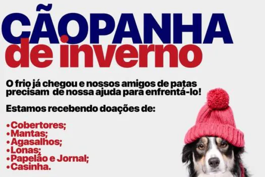 Campanha social do Singular beneficia animais abandonados