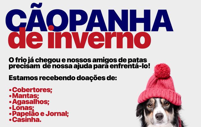 Campanha social do Singular beneficia animais abandonados