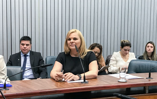 Carla Morando tem segundo projeto de Lei sancionado pelo Governador