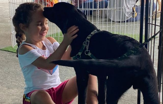 Carnaval Kids de Ribeirão Pires terá Bloco Pet