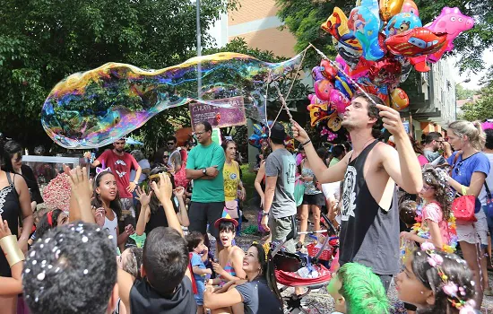 Polícia acaba com festa de carnaval no Distrito Federal