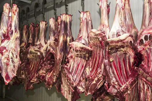 Cinco açougues são interditados no litoral de SP por venda de carne estragada