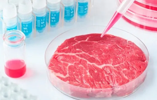 Carne criada em laboratório é segura para comer