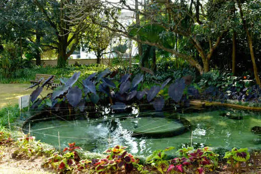 Casa-Museu Ema Klabin reabre seu jardim projetado por Burle Marx