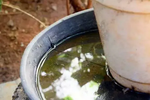 BRK alerta para cuidados com a água parada para combater o avanço do mosquito da dengue