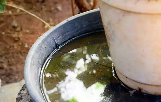 BRK alerta para cuidados com a água parada para combater o avanço do mosquito da dengue