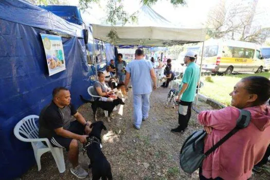 Programa de Castração já atendeu 339 animais em Diadema