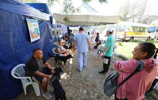 Programa de Castração já atendeu 339 animais em Diadema