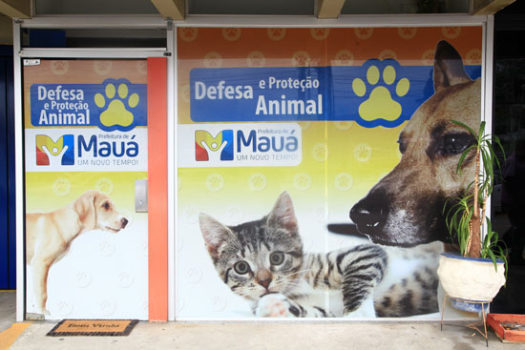 Castração gratuita para cães e gatos em Mauá