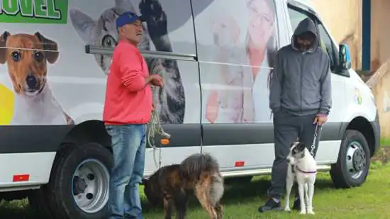 Ribeirão Pires zera fila de espera por castração de pets