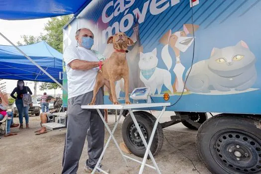 Parque Miami e Parque Andreense recebem ações do Castramóvel