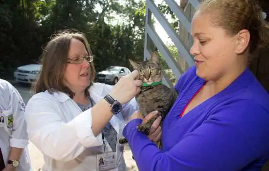 Paranapiacaba recebe ações da causa animal nesta quinta