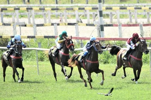 Dois super páreos encerram o calendário de corridas do cavalo Árabe em 2021