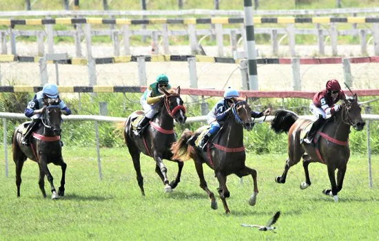 Dois super páreos encerram o calendário de corridas do cavalo Árabe em 2021