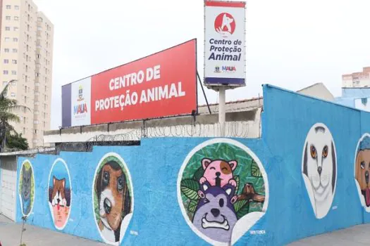 Prefeitura de Mauá reduz em 80% a fila de espera por castrações de pets