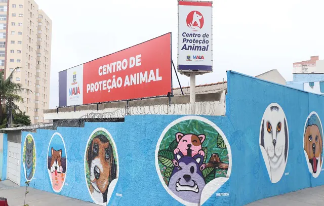 Prefeitura de Mauá reduz em 80% a fila de espera por castrações de pets