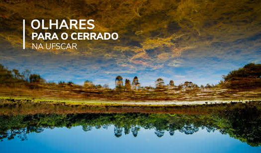 UFSCar lança livro digital de fotos e reflexões sobre o Cerrado