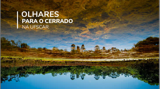 UFSCar lança livro digital de fotos e reflexões sobre o Cerrado