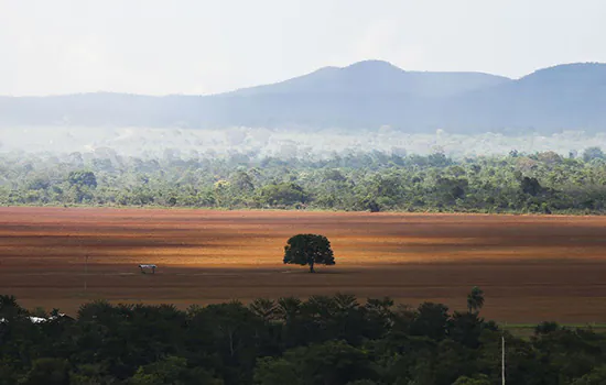 Cerrado registra menor desmatamento da série histórica