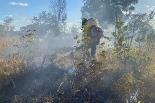 Defensores do Cerrado: Campanha reforça importância de proteger o bioma contra incêndios