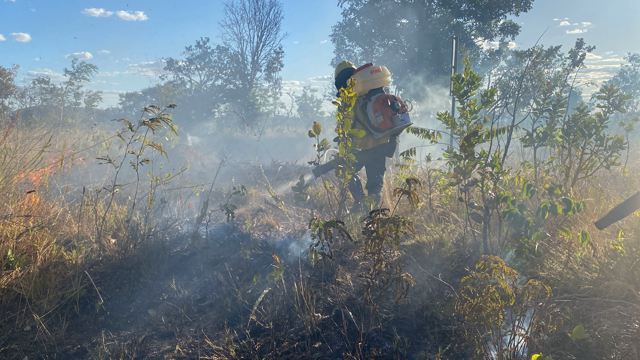 Defensores do Cerrado: Campanha reforça importância de proteger o bioma contra incêndios