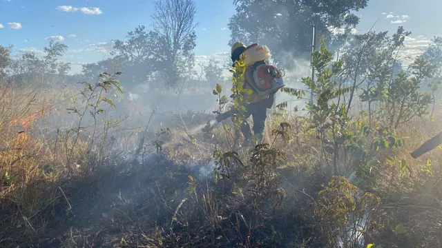 Defensores do Cerrado: Campanha reforça importância de proteger o bioma contra incêndios