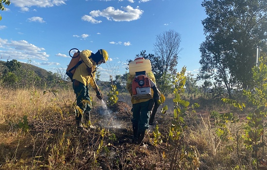 A importância das brigadas voluntárias para a prevenção de incêndios no Cerrado