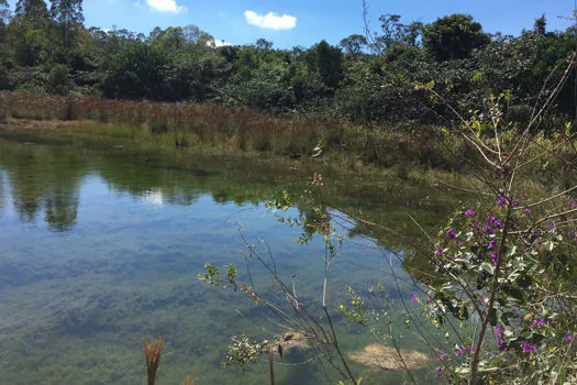 Manutenção e protocolos de segurança preservam Cerrado da UFSCar