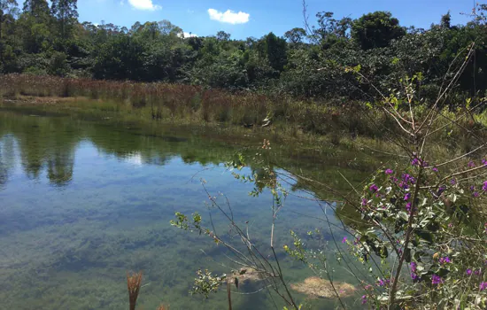 Manutenção e protocolos de segurança preservam Cerrado da UFSCar