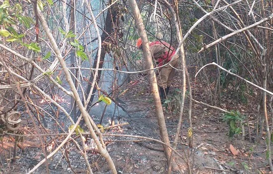 Polícia Civil de Goiás indicia quatro pessoas por incêndios na Chapada