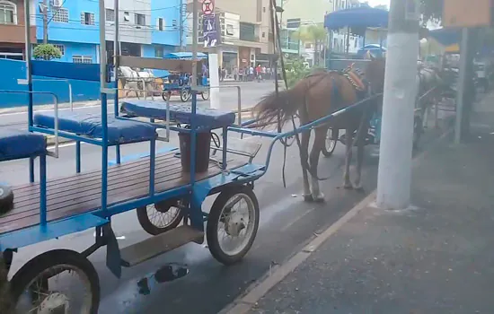 Turismo com charretes de tração animal está com dias contados em Aparecida