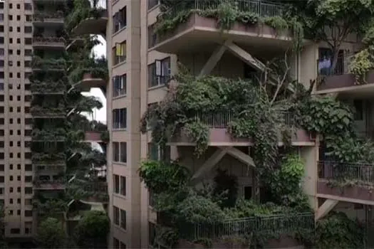 Chineses fogem de apartamentos após plantas invadirem sacadas