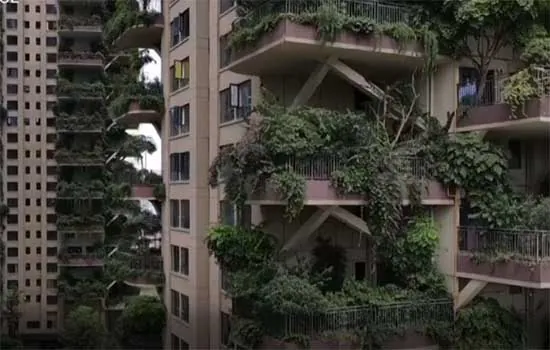 Chineses fogem de apartamentos após plantas invadirem sacadas