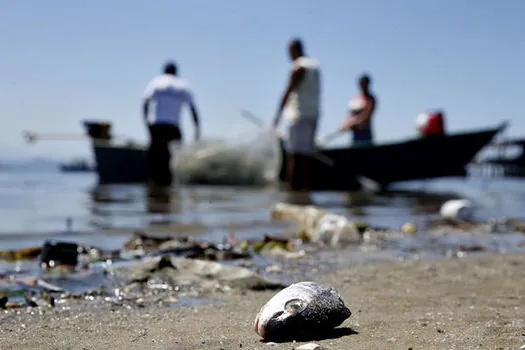 ONG diz que Baía de Guanabara recebe litros de chorume anualmente