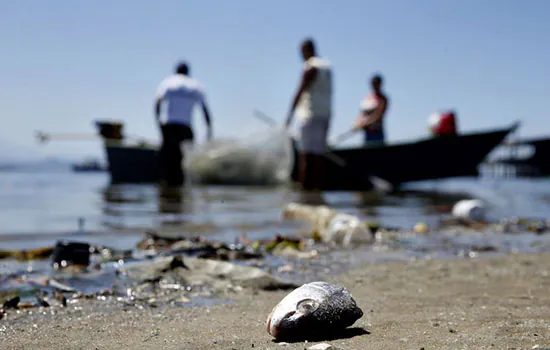 ONG diz que Baía de Guanabara recebe litros de chorume anualmente