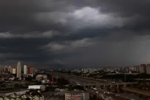 Chuva em SP causa alagamentos e quedas de árvores; veja previsão para segunda